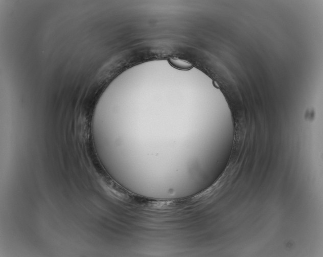 X0000091490136200708161218