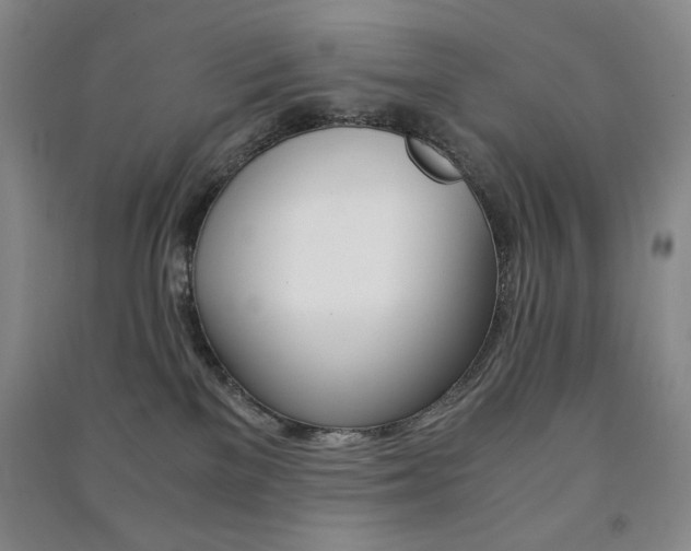 X0000091490137200708161218