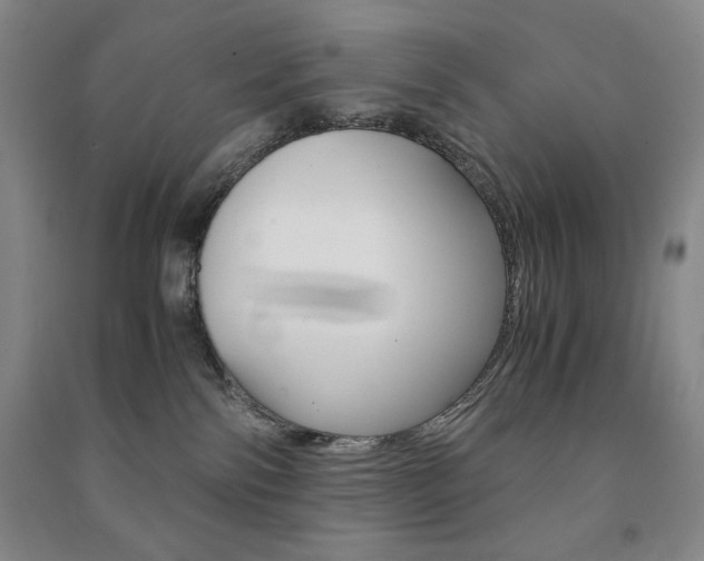 X0000091490138200708161218