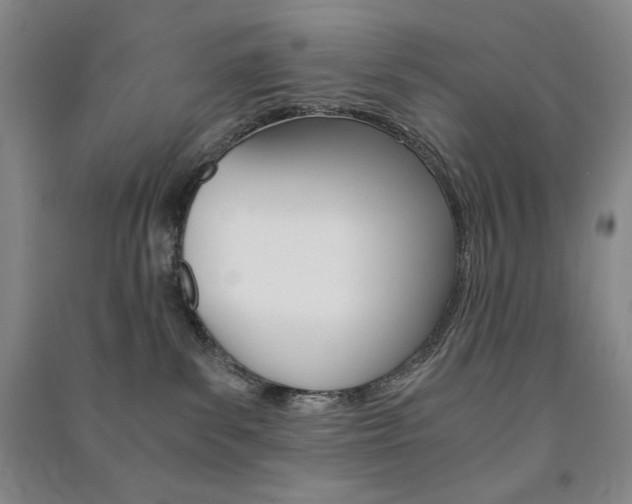 X0000091490139200708161218
