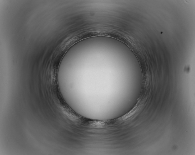X0000091490140200708161218