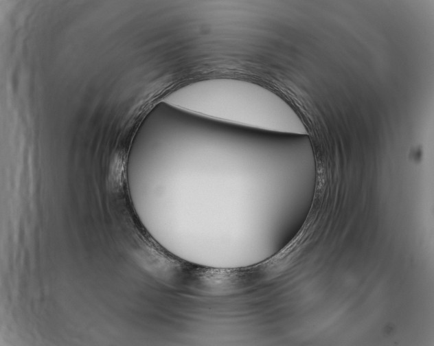 X0000091490142200708161218