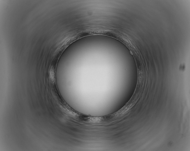 X0000091490143200708161218