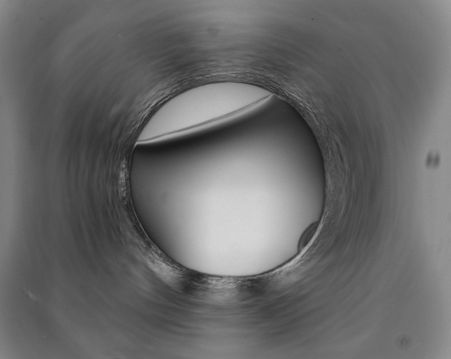 X0000091490144200708161218