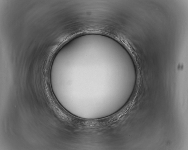 X0000091490145200708161218