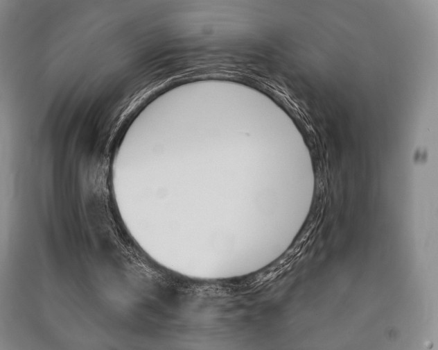 X0000091490146200708161218