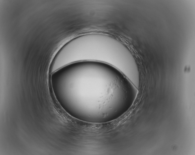 X0000091490148200708161218