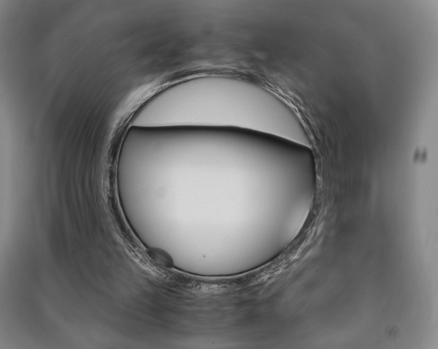 X0000091490149200708161218