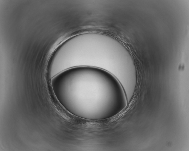 X0000091490150200708161218