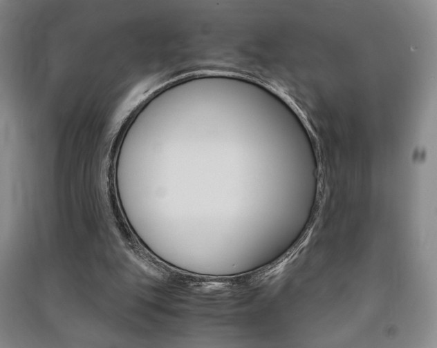 X0000091490151200708161218