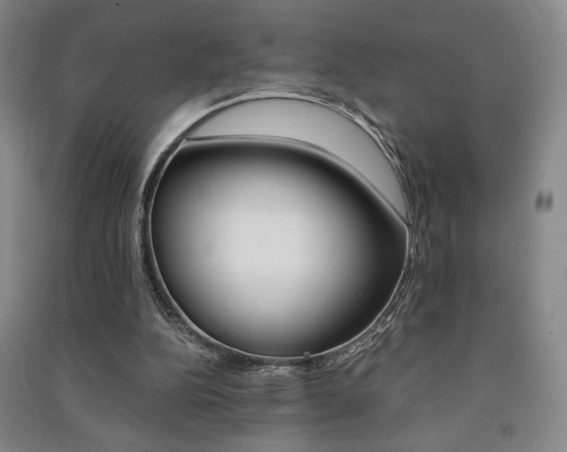 X0000091490152200708161218