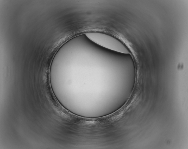 X0000091490153200708161218
