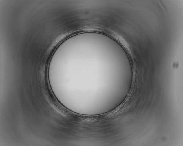 X0000091490155200708161218