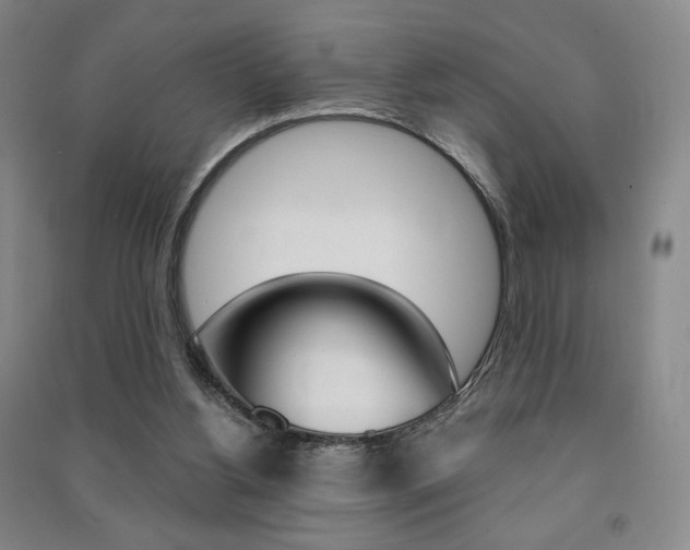 X0000091490156200708161218