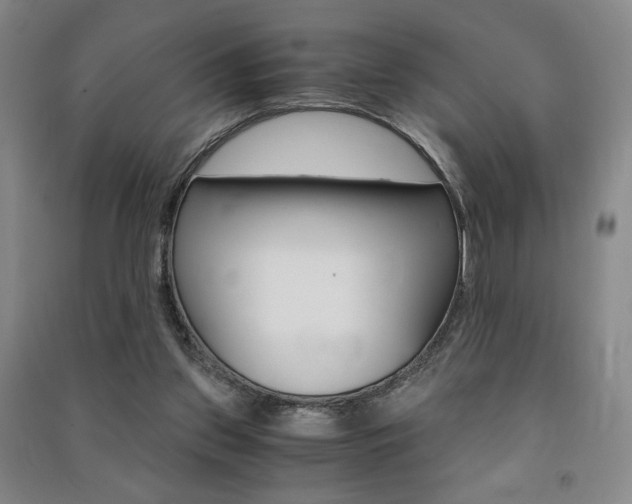 X0000091490157200708161218