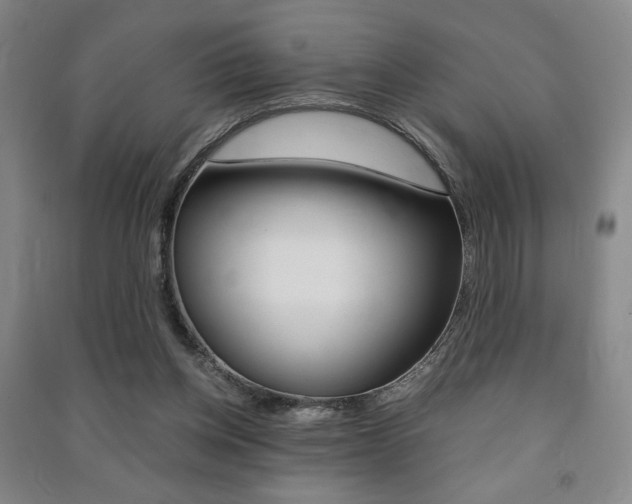 X0000091490158200708161218