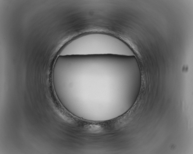 X0000091490159200708161218