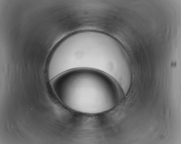 X0000091490160200708161218