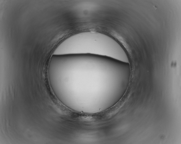X0000091490161200708161218