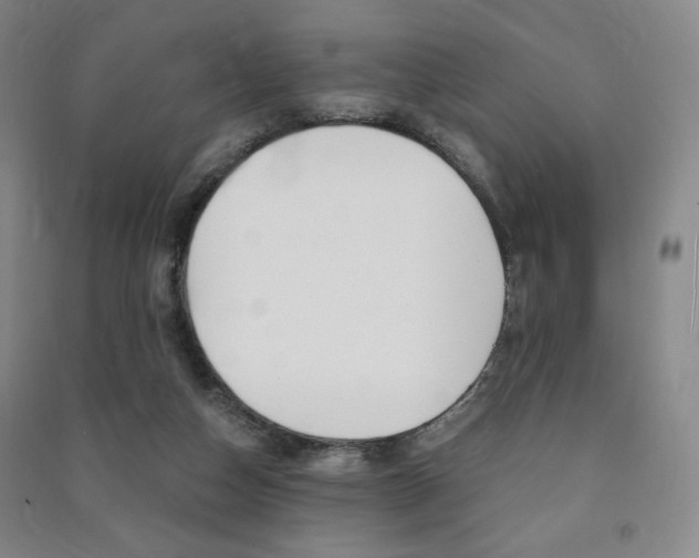 X0000091490162200708161218