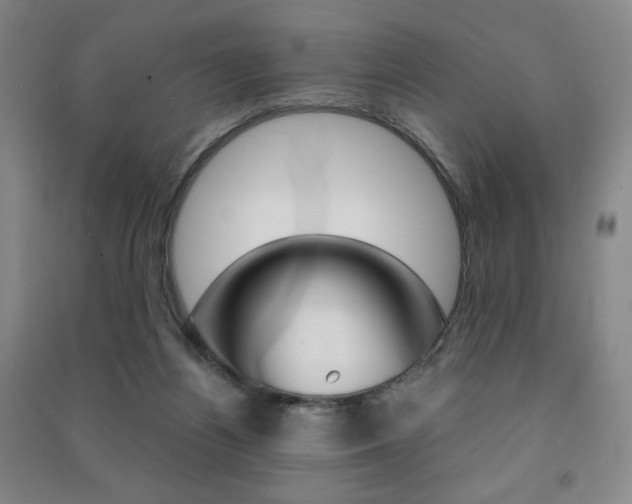 X0000091490164200708161218