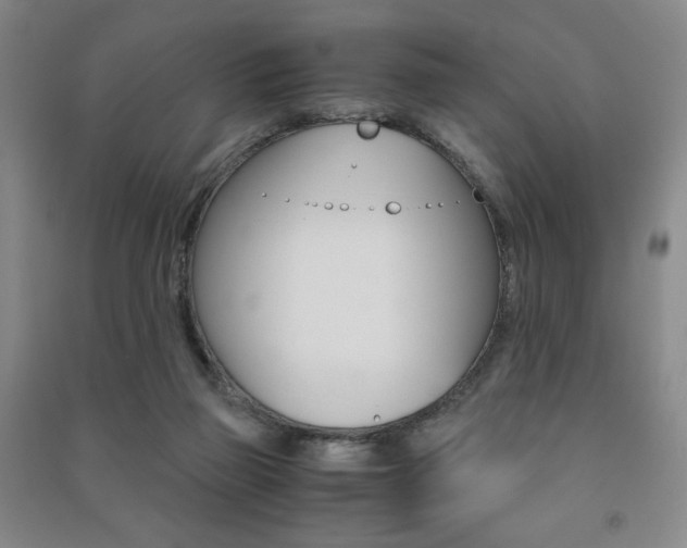 X0000091490165200708161218