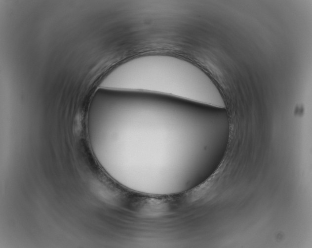 X0000091490166200708161218