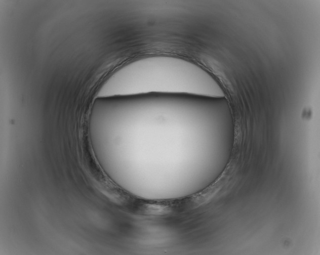 X0000091490167200708161218