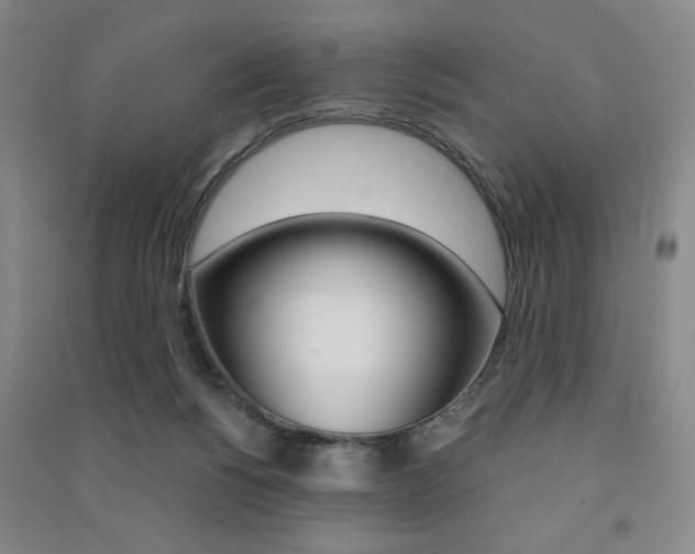 X0000091490168200708161218