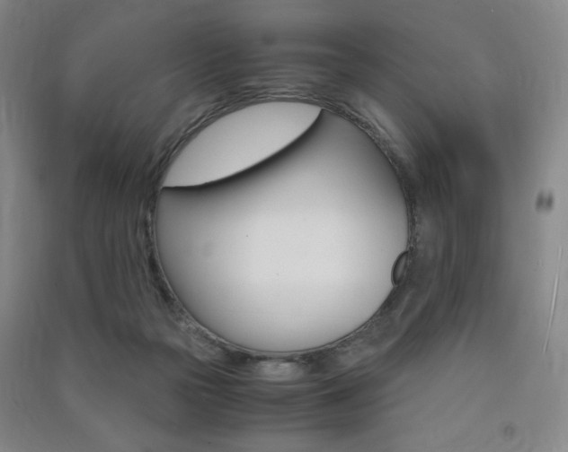 X0000091490169200708161218