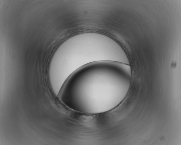 X0000091490170200708161218