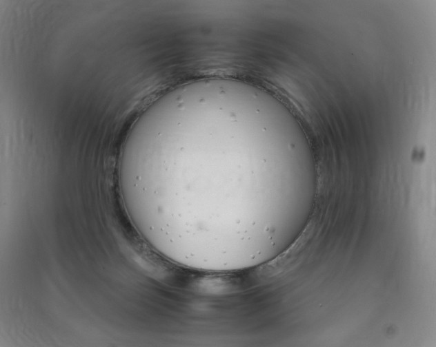 X0000091490171200708161218
