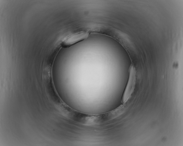 X0000091490172200708161218