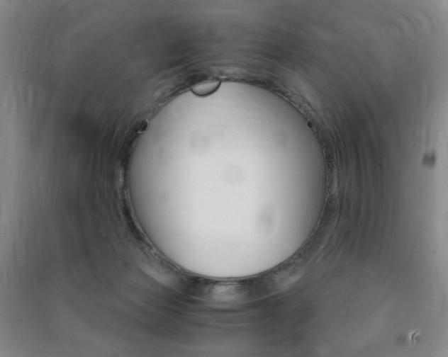 X0000091490173200708161218