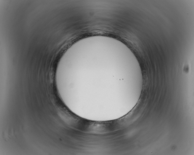 X0000091490174200708161218