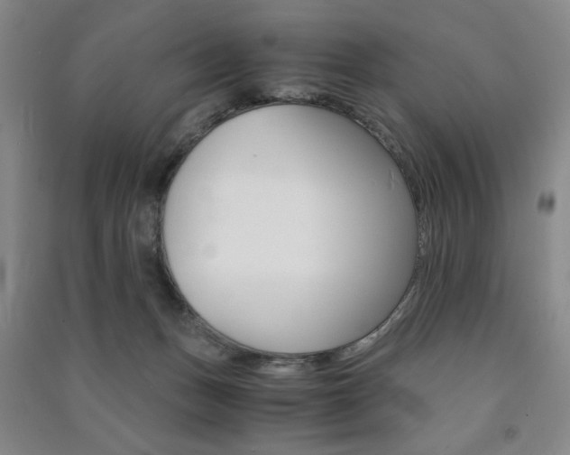 X0000091490175200708161218