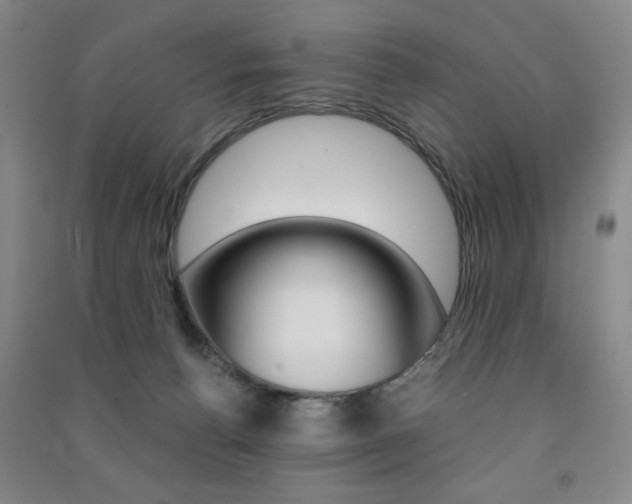 X0000091490176200708161218