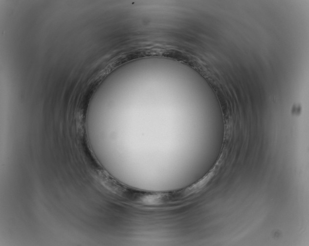 X0000091490178200708161218