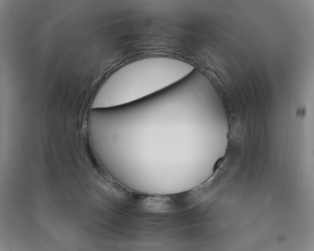 X0000091490179200708161218