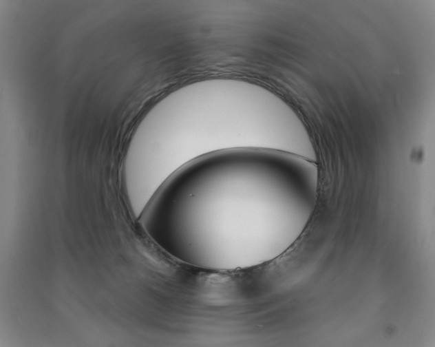 X0000091490180200708161218