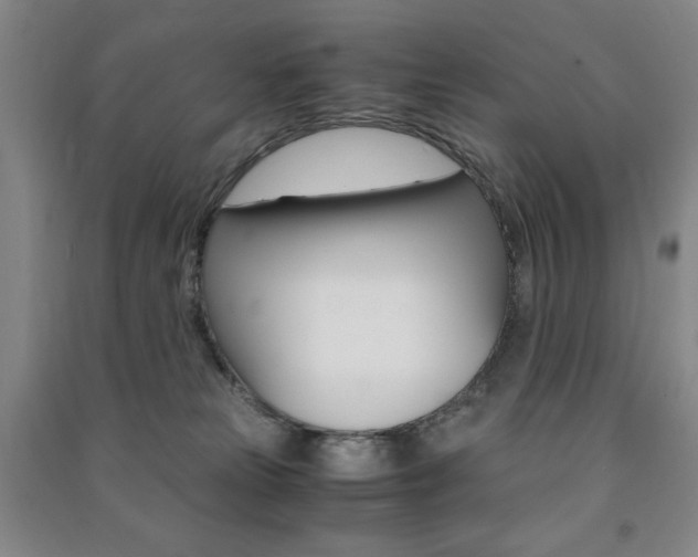 X0000091490181200708161218