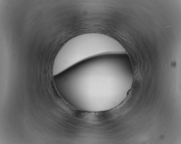 X0000091490182200708161218