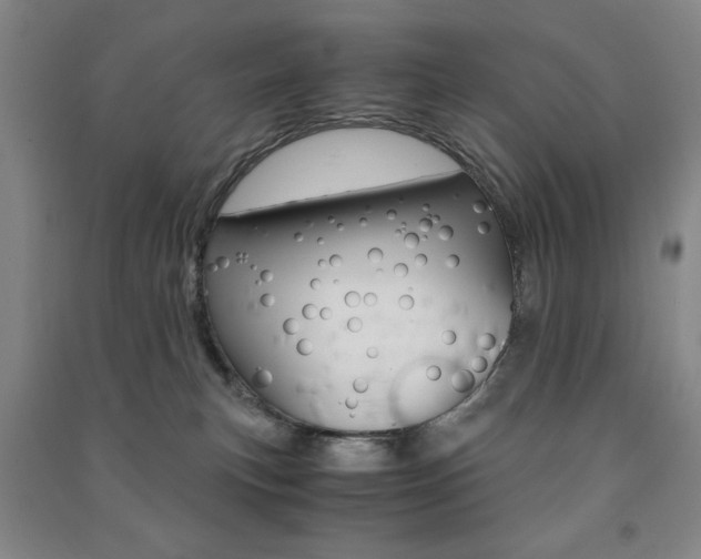 X0000091490183200708161218