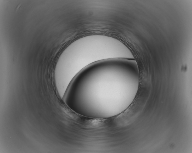 X0000091490184200708161218