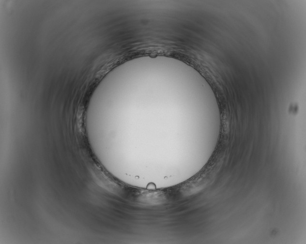 X0000091490185200708161218