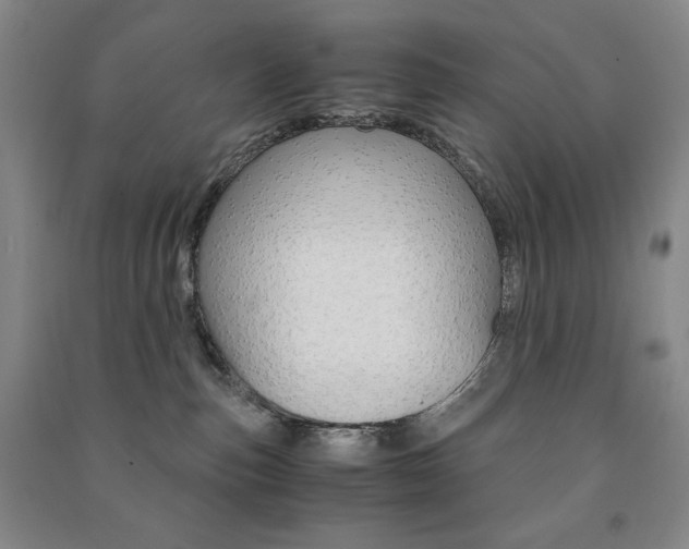 X0000091490187200708161218