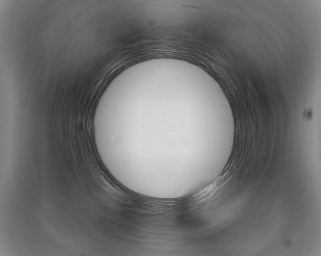 X0000091490188200708161218