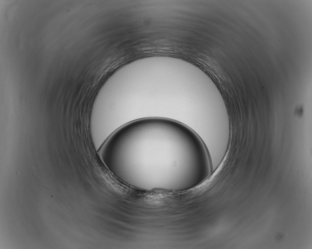 X0000091490190200708161218