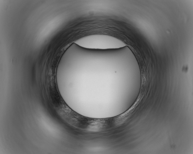 X0000091490191200708161218