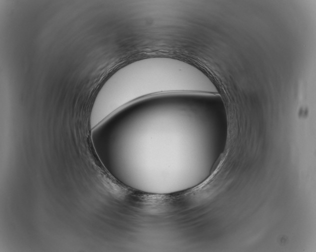 X0000091490192200708161218